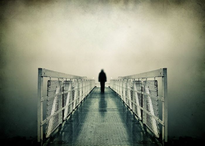 Fog (101 pics)