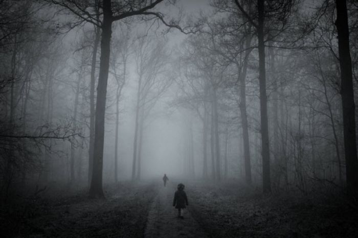 Fog (101 pics)