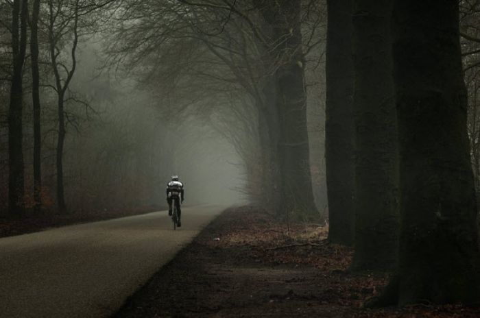 Fog (101 pics)