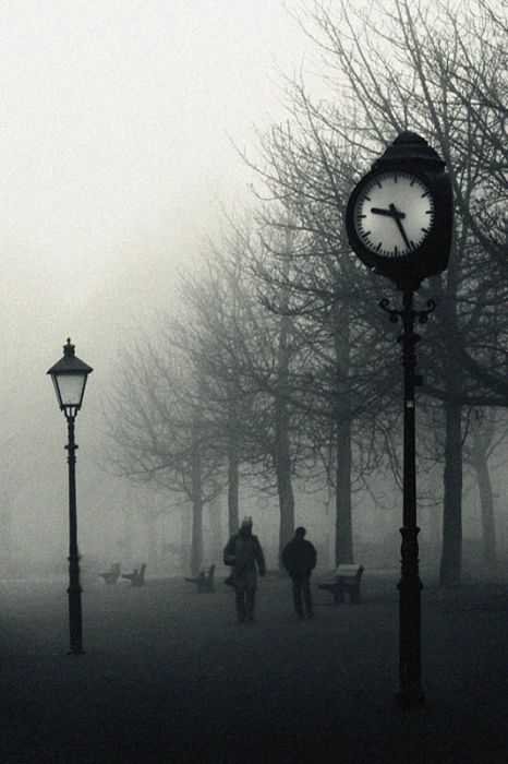 Fog (101 pics)