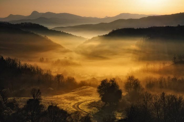 Fog (101 pics)