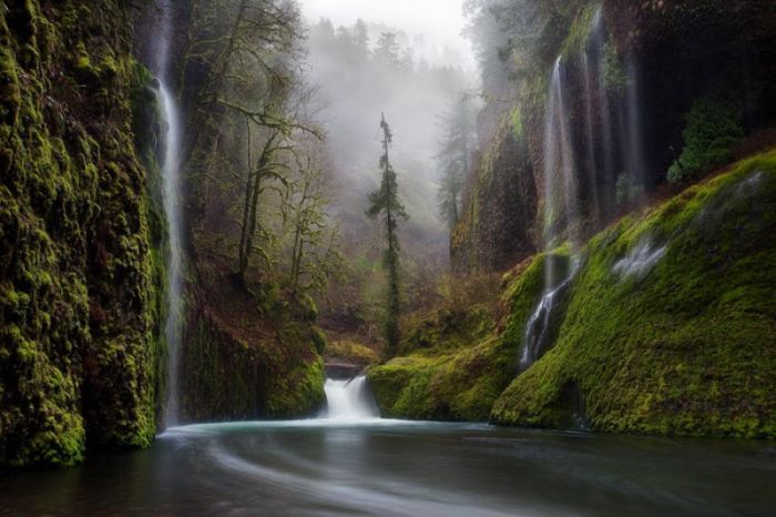 Fog (101 pics)