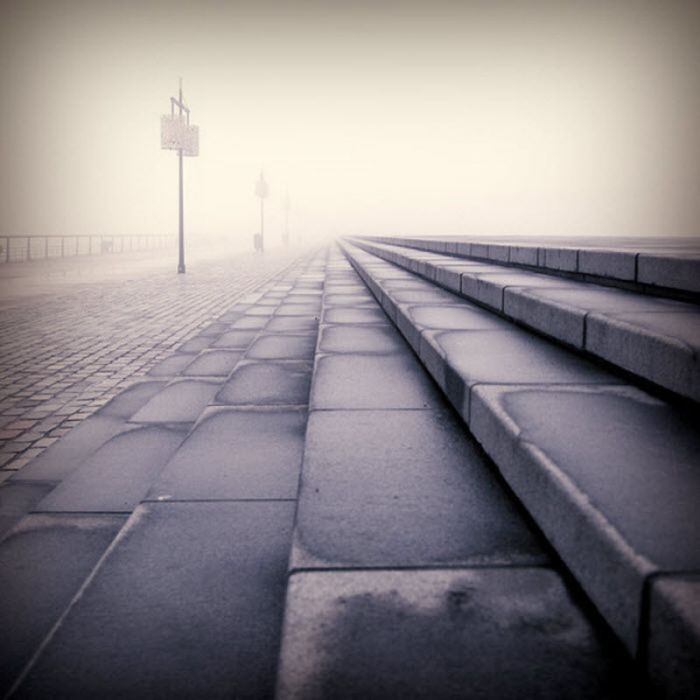 Fog (101 pics)