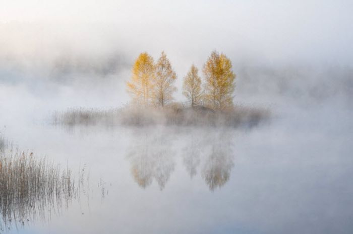 Fog (101 pics)