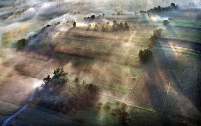 Fog (101 pics)