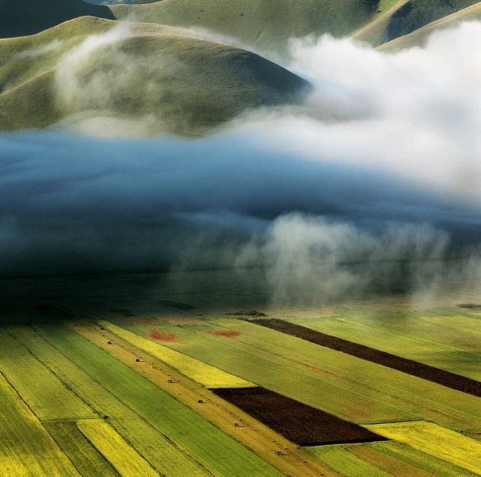 Fog (101 pics)