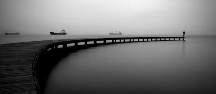 Fog (101 pics)