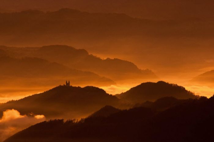 Fog (101 pics)