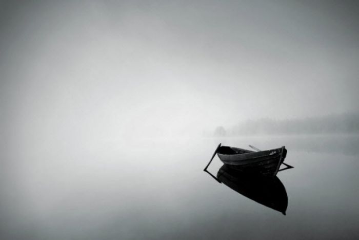 Fog (101 pics)