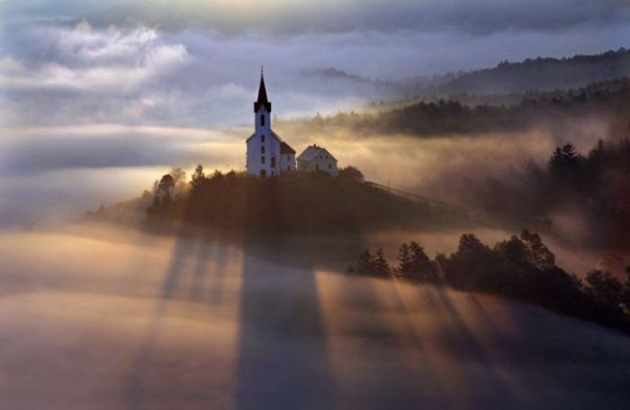 Fog (101 pics)