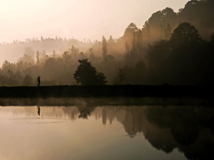Fog (101 pics)
