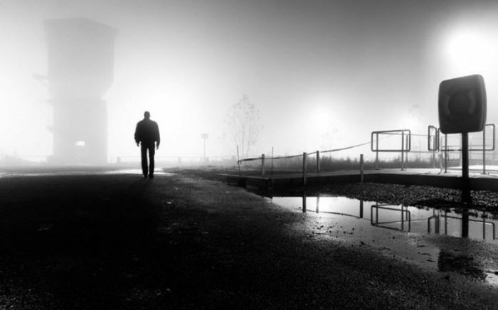 Fog (101 pics)
