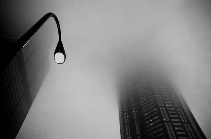 Fog (101 pics)