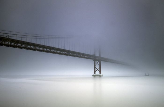 Fog (101 pics)