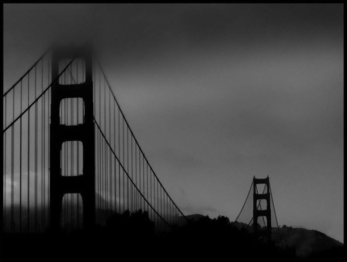 Fog (101 pics)