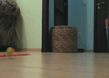Acid Gifdump (10 gifs)