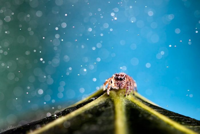 Beautiful Photos (23 pics)