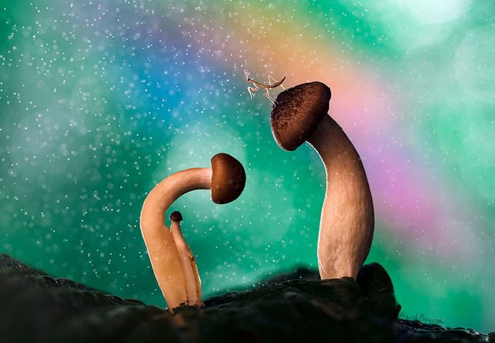 Beautiful Photos (23 pics)