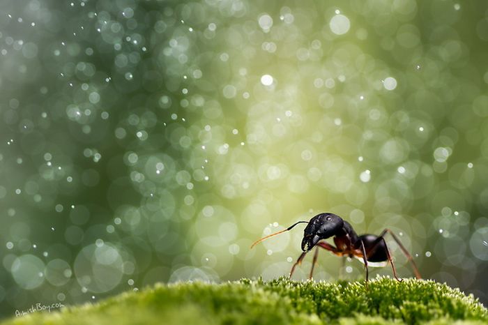 Beautiful Photos (23 pics)