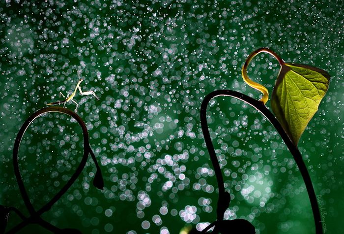 Beautiful Photos (23 pics)