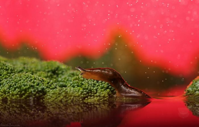 Beautiful Photos (23 pics)