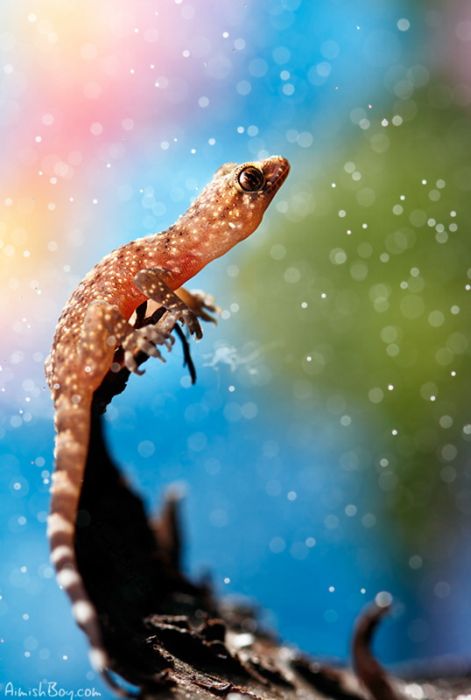 Beautiful Photos (23 pics)