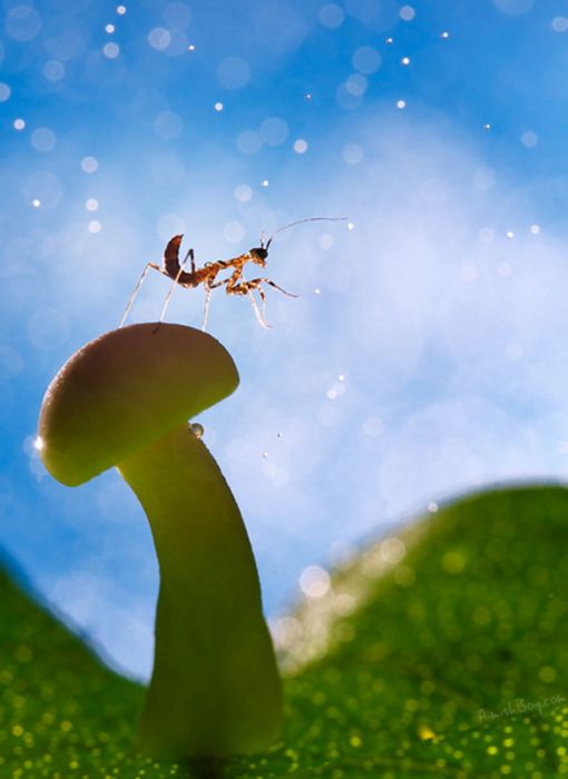 Beautiful Photos (23 pics)