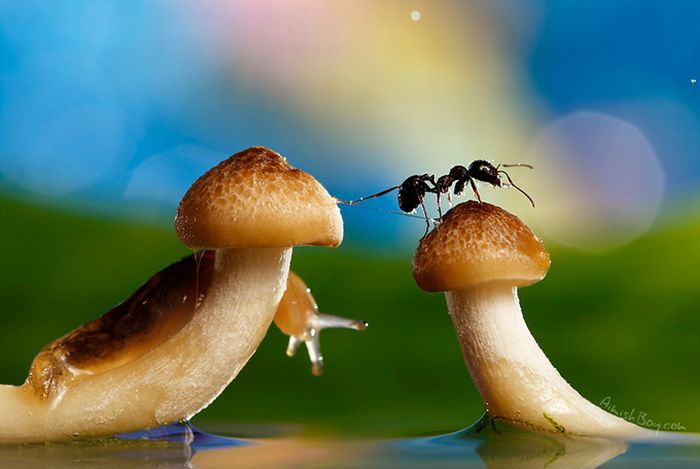 Beautiful Photos (23 pics)