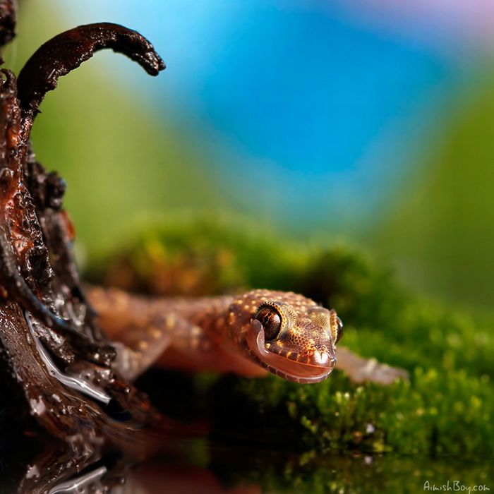 Beautiful Photos (23 pics)