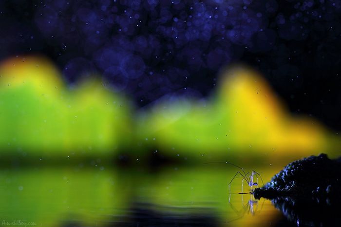 Beautiful Photos (23 pics)
