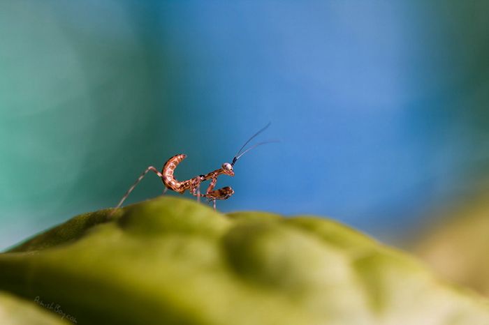 Beautiful Photos (23 pics)