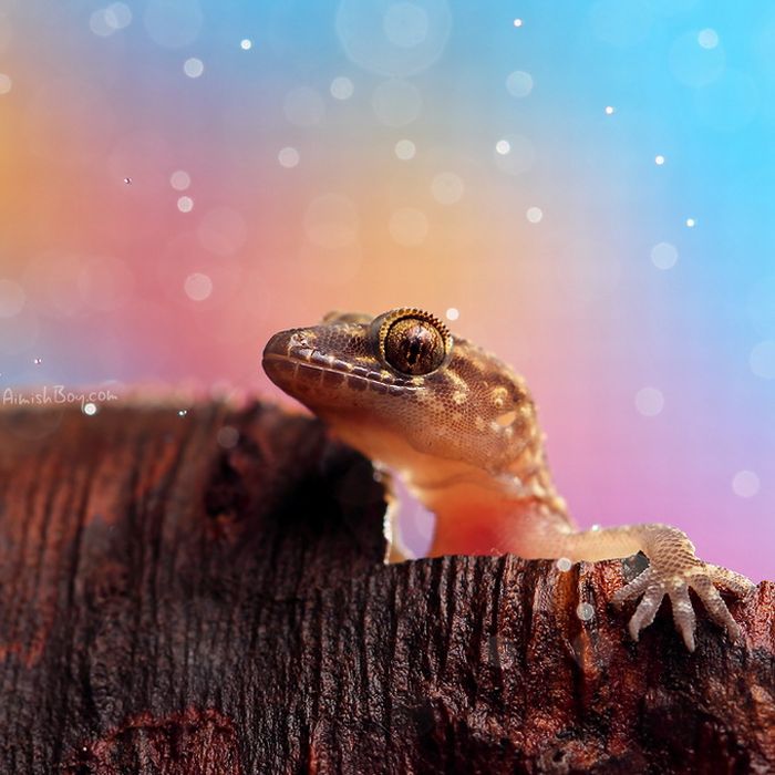 Beautiful Photos (23 pics)