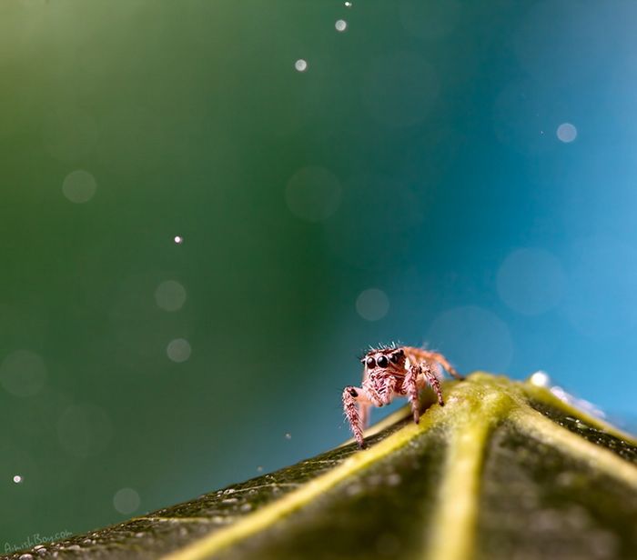 Beautiful Photos (23 pics)