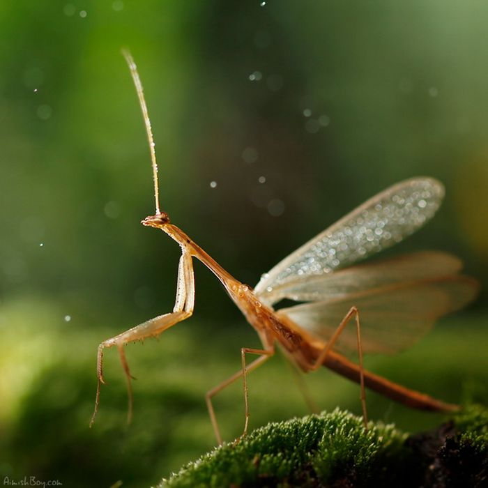 Beautiful Photos (23 pics)