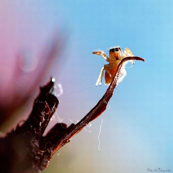 Beautiful Photos (23 pics)