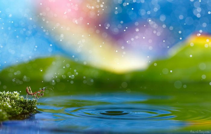 Beautiful Photos (23 pics)