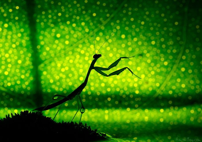 Beautiful Photos (23 pics)