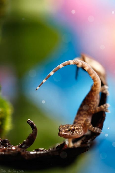 Beautiful Photos (23 pics)