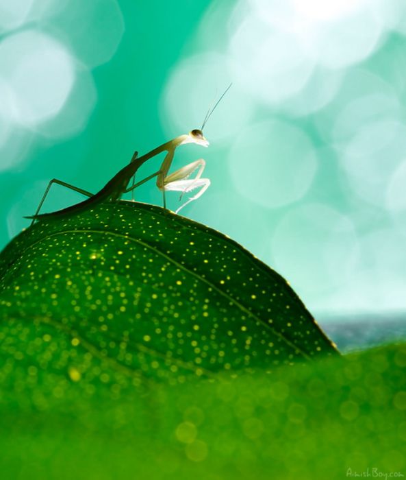 Beautiful Photos (23 pics)