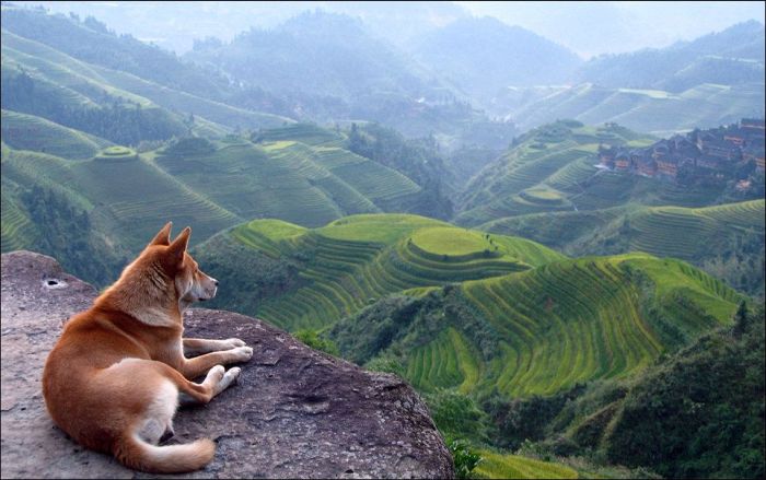 Amazing & Beautiful Photography (62 pics)
