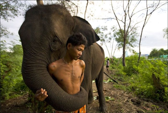 Amazing & Beautiful Photography (62 pics)