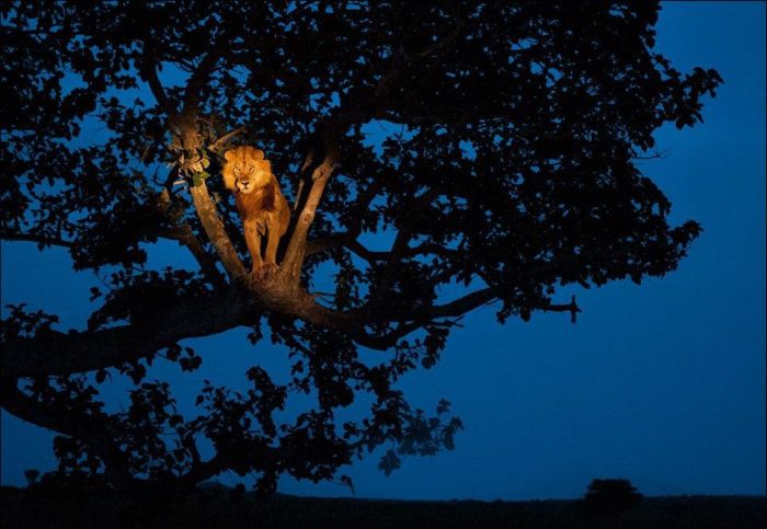 Amazing & Beautiful Photography (62 pics)