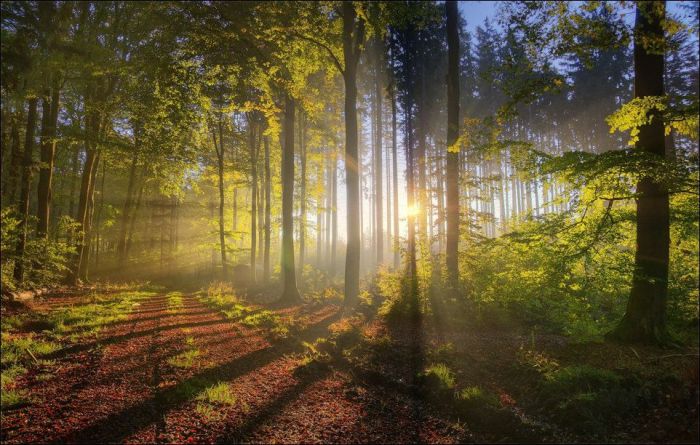 Amazing & Beautiful Photography (62 pics)