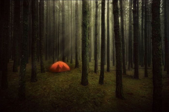 Amazing & Beautiful Photography (62 pics)