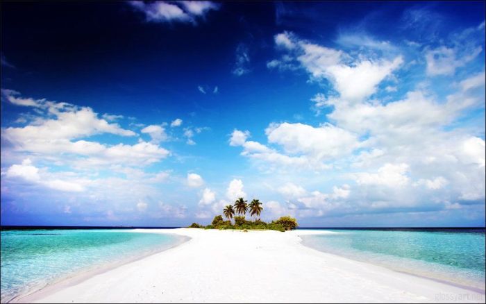 Amazing & Beautiful Photography (62 pics)