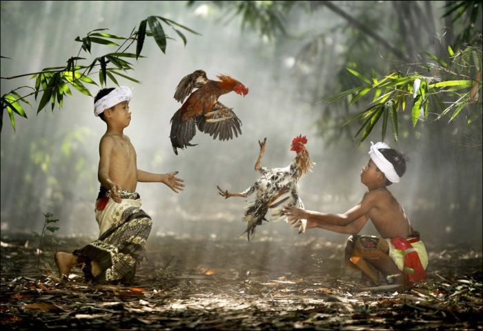 Amazing & Beautiful Photography (62 pics)