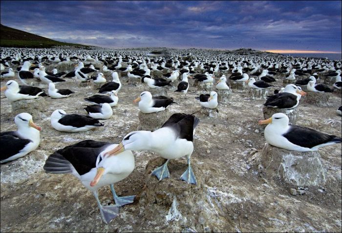 Amazing & Beautiful Photography (62 pics)