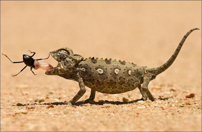 Amazing & Beautiful Photography (62 pics)