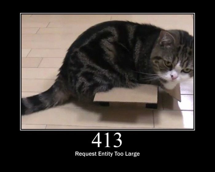Server Errors by Cats (15 pics)