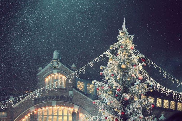 Beautiful Christmas (71 pics)